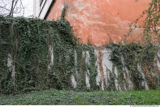 Walls Facade Stones Wall Bricks Overgrown