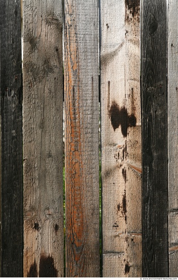 Bare Planks Wood