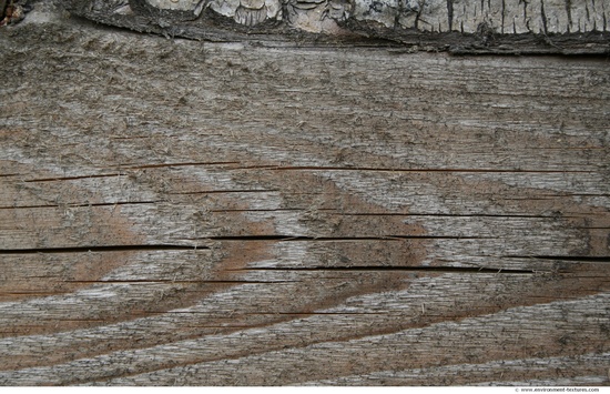 Rough Wood