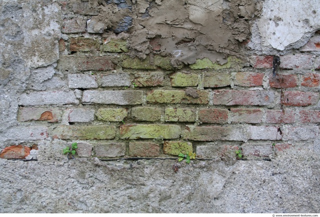 Wall Bricks Damaged