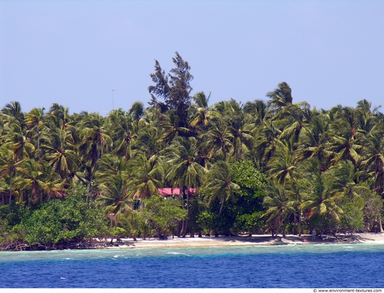 Background Beach