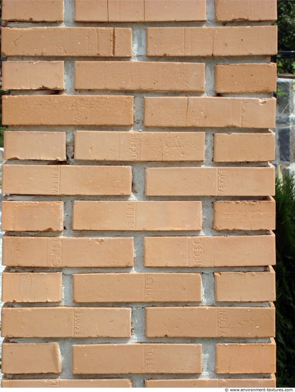 Wall Bricks Damaged