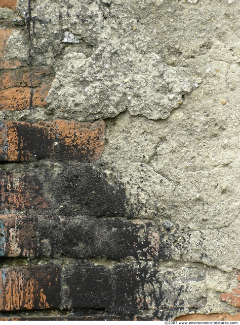 Walls Plaster Damaged