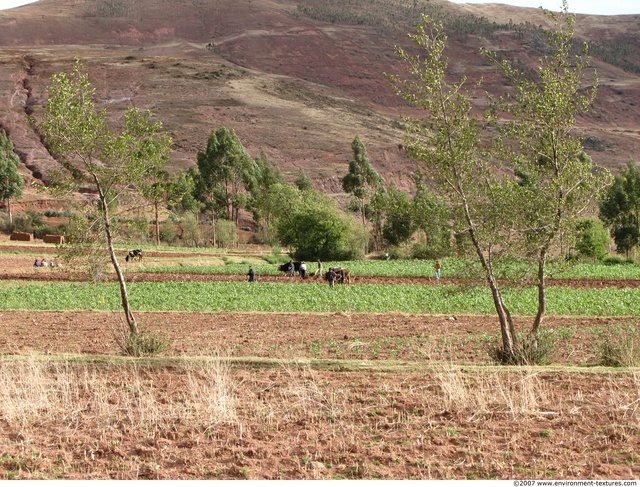 Peru