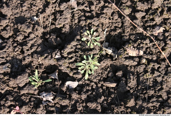 Various Soil