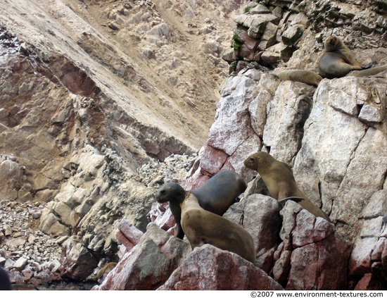 Peru