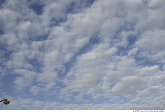 Blue Clouded Skies