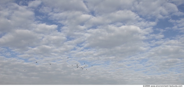 Blue Clouded Skies