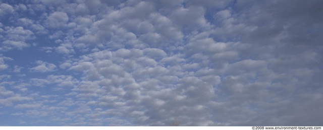 Blue Clouded Skies