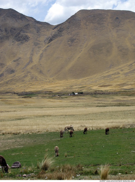 Peru