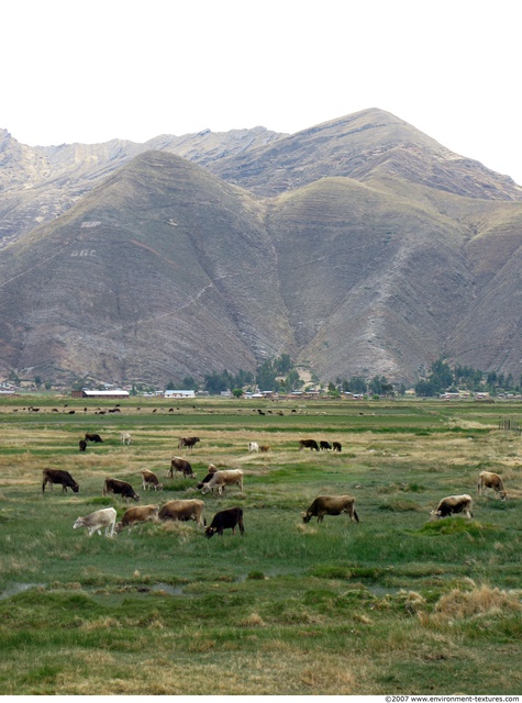 Peru