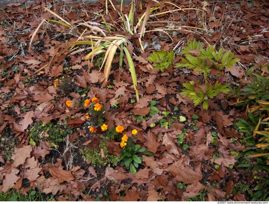 Various Soil