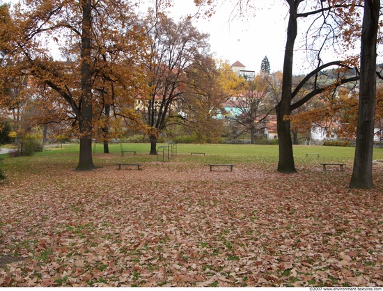 Background Gardens