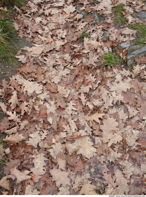 Various Soil