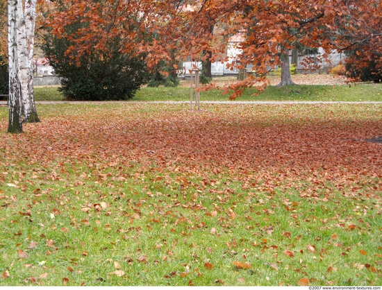 Background Gardens