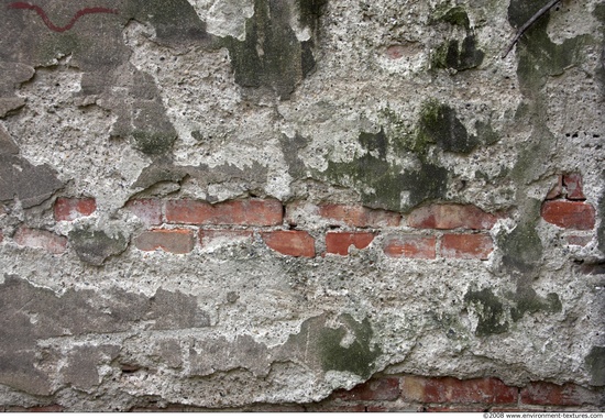 Walls Plaster Damaged