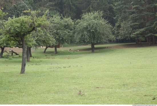 Background Gardens