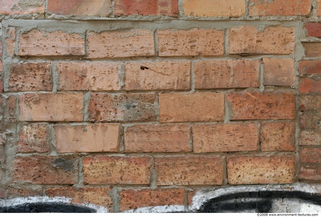 Wall Bricks Damaged