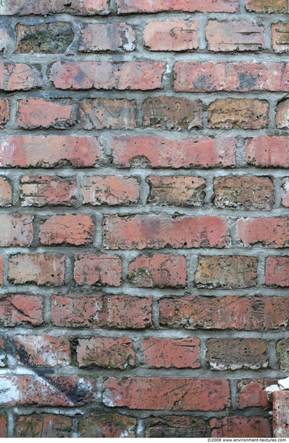 Wall Bricks Damaged