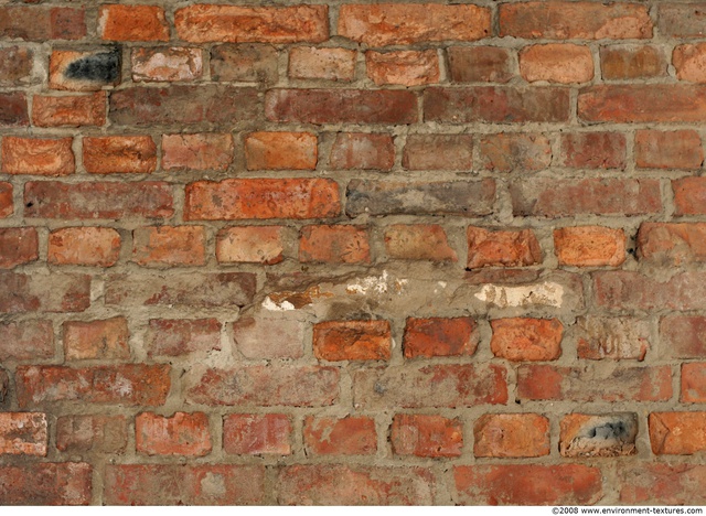 Wall Bricks Damaged