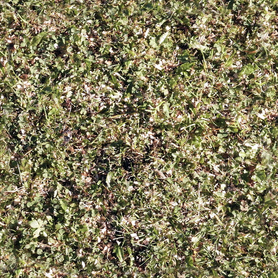 Seamless Grass