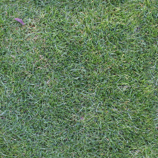 Seamless Grass