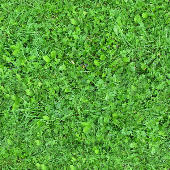 Seamless Grass