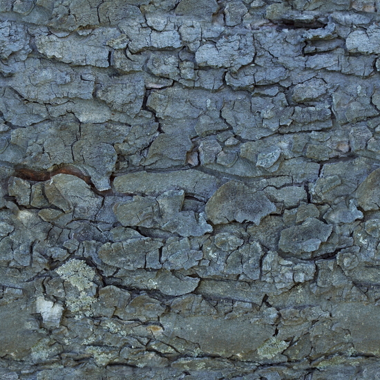 Seamless Tree Bark