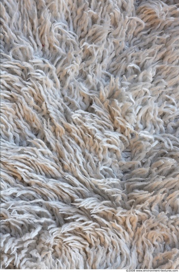 Carpet Fabric