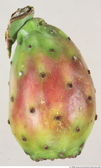 Fruit