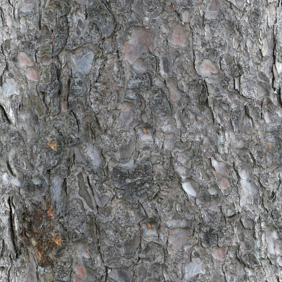 Seamless Tree Bark