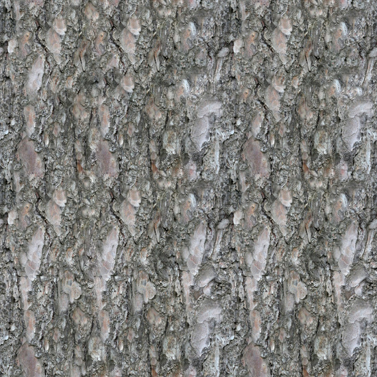 Seamless Tree Bark