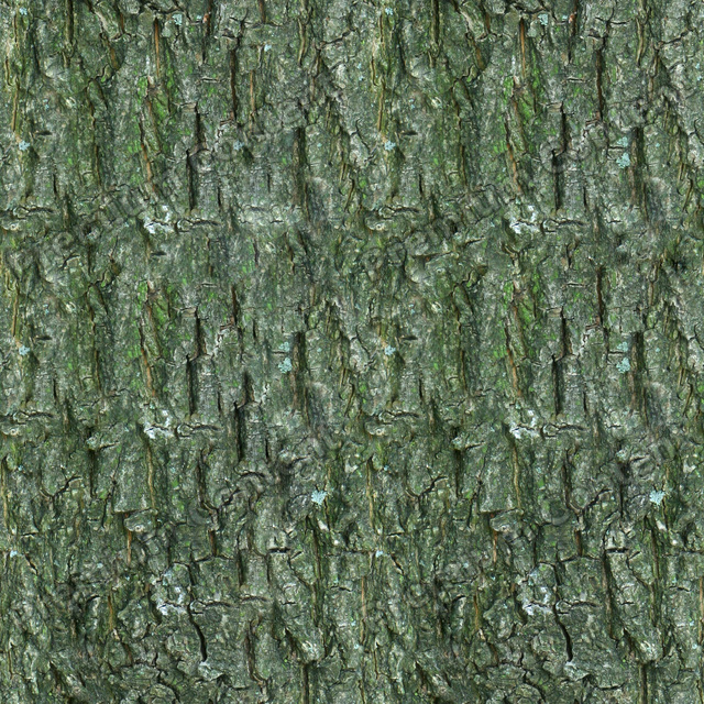 Seamless Tree Bark