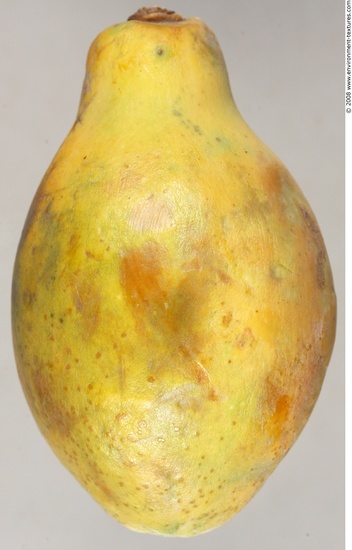 Fruit