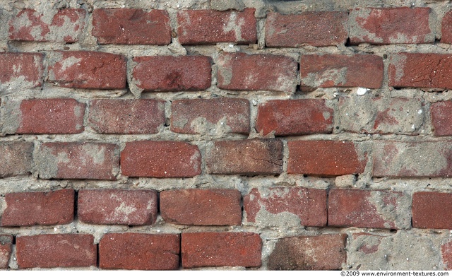 Wall Bricks Damaged