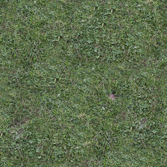 Seamless Grass