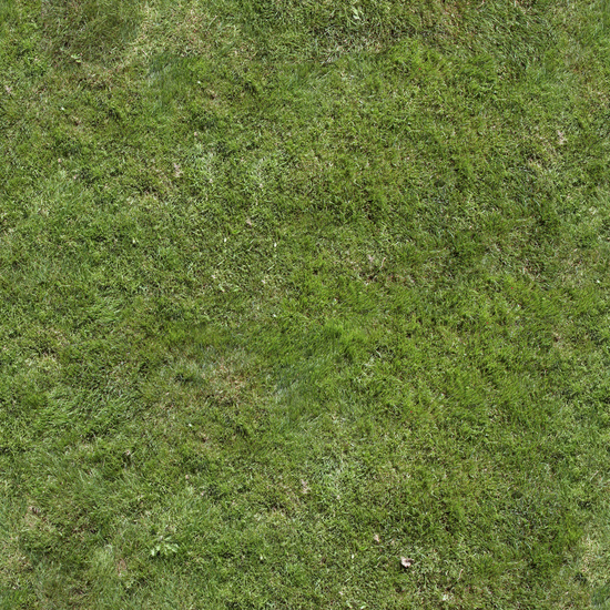 Seamless Grass