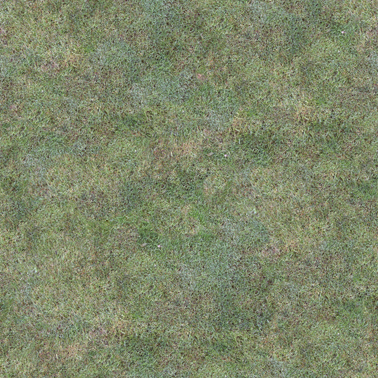 Seamless Grass