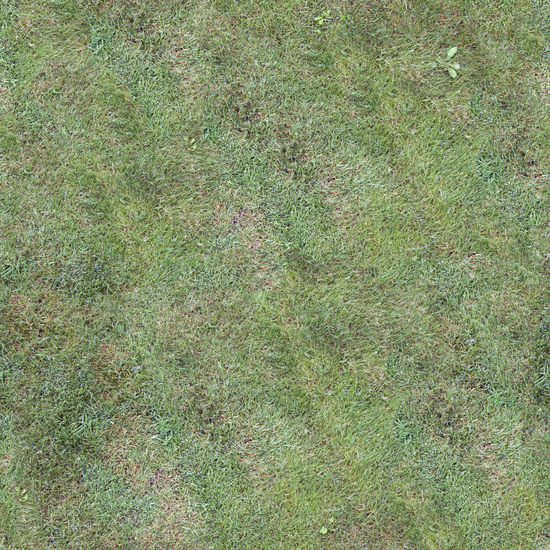 Seamless Grass