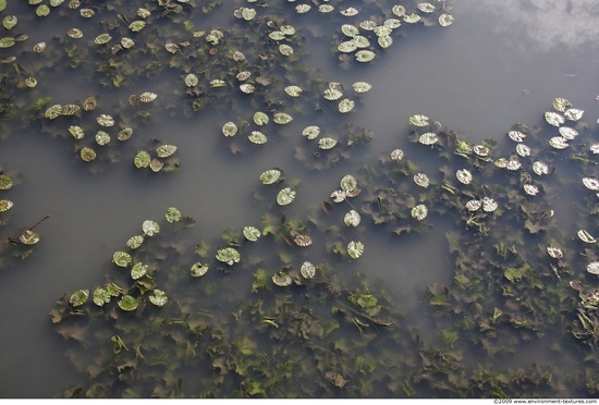 Waterplants