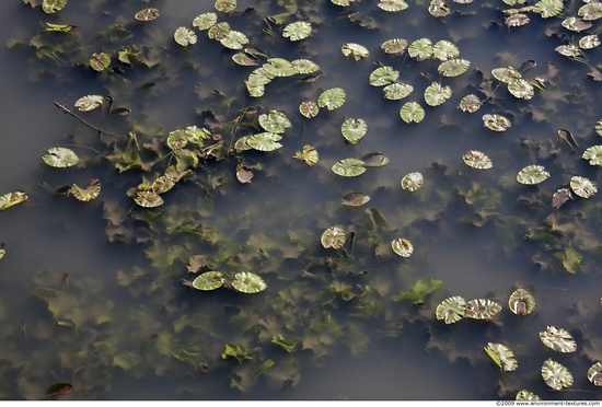 Waterplants