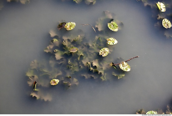 Waterplants