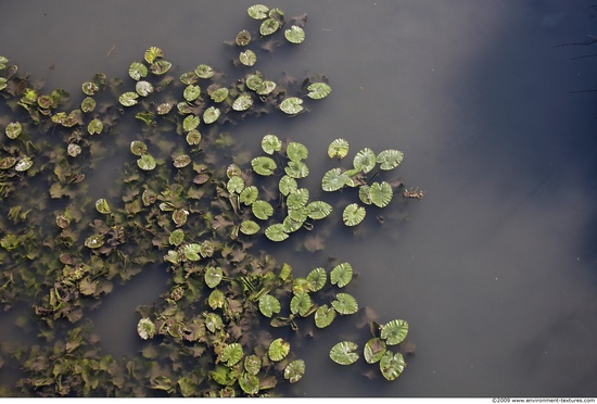 Waterplants