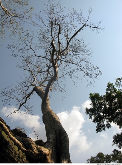 Cambodia