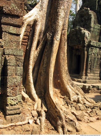 Cambodia