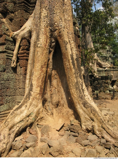 Cambodia