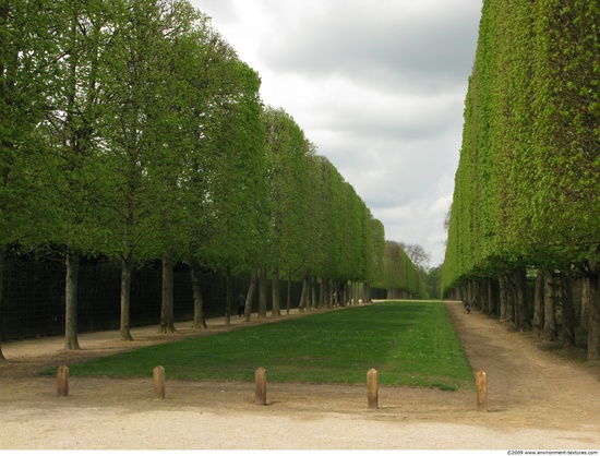 Background Gardens