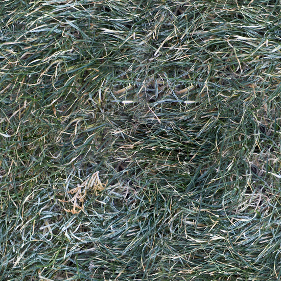 Seamless Grass Frozen