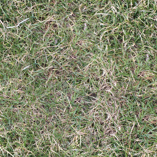 Seamless Grass