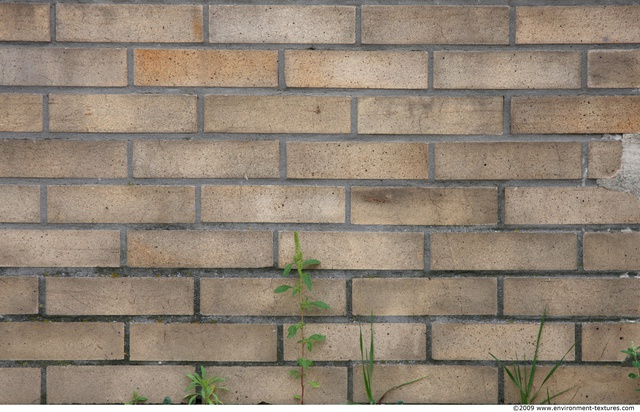 Wall Bricks Damaged